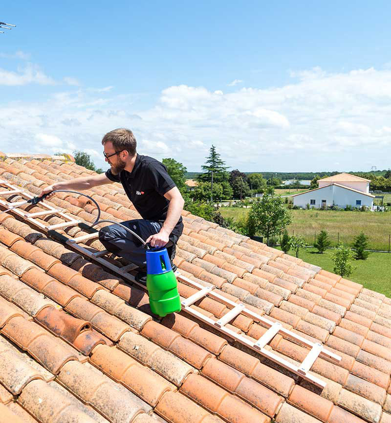 ECHELLE PLATE DE TOIT EN BOIS 2X2.50M HAILO Marle et ses alentours